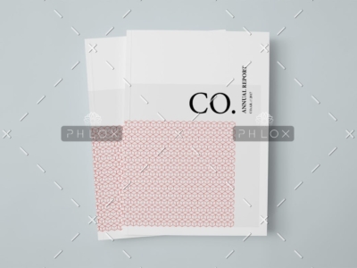 CO.-Annual-Report